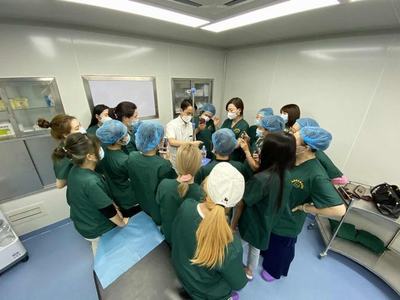 青岛微整形培训学校费用解析与北京专业技术培训前景展望